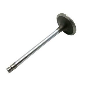 intake valve 3802355