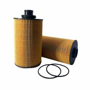oil filter 13055724