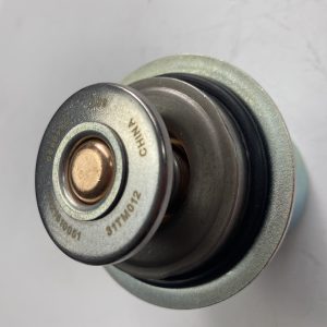 THERMOSTAT-31TM012-china