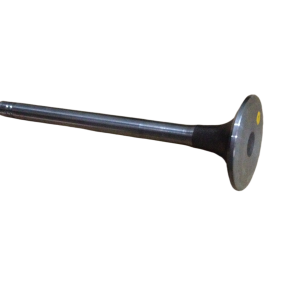 Cummins NT855 intake valve